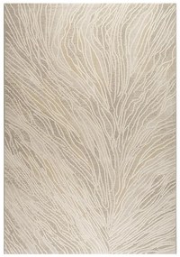 Koberec Argentum 1,6/2,3 63481 6575 0 4