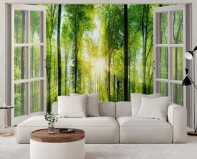 Gario Fototapeta Okno - slnečné lúče v lese Materiál: Vliesová, Rozmery: 210 x 150 cm