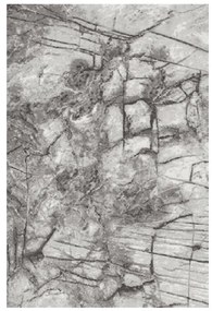 Koberec Frisee Phoenix 1,2/1,7 6057 544