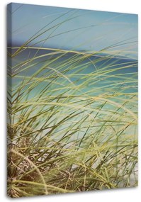 Gario Obraz na plátne Tráva na dunách Rozmery: 40 x 60 cm