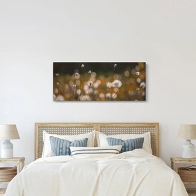 Obraz - Lúka s cottongrass N⁰2 (120x50 cm)