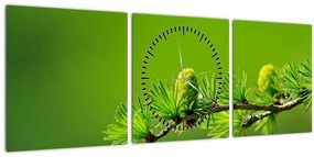 Obraz zelenej šišky (s hodinami) (90x30 cm)