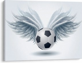 Obraz - Balón s krídlami (70x50 cm)