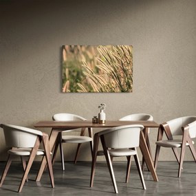 Obraz - Obilie (90x60 cm)