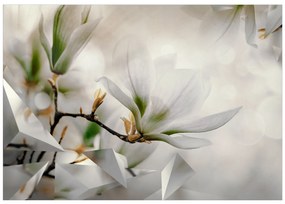 Artgeist Fototapeta - Subtle Magnolias - Second Variant Veľkosť: 200x140, Verzia: Standard