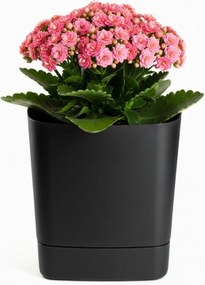 Plastový květináč s podmiskou Cubi 19x19 cm - výber z 6 prevedení