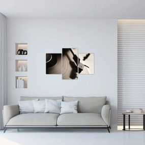 Obraz - Gramofónová doska (90x60 cm)
