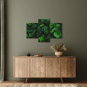 Obraz listov Monstery (90x60 cm)