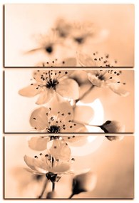 Obraz na plátne - Malé kvety na vetve - obdĺžnik 7173FB (90x60 cm  )