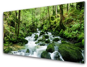 Skleneny obraz Les potok vodopády rieka 120x60 cm