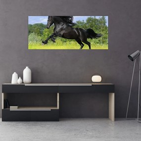 Obraz - Kôň s vzdušnou hrivou (120x50 cm)