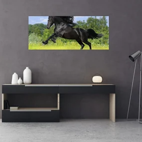 Obraz - Kôň s vzdušnou hrivou (120x50 cm)