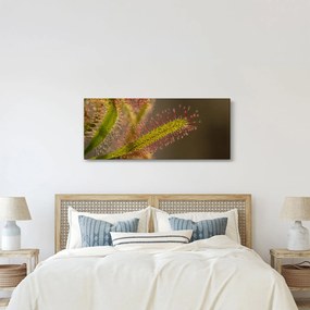 Obraz rastliny (120x50 cm)