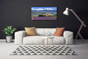 Obraz na plátne Lúka kvety hory príroda 125x50 cm