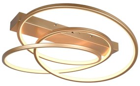 LED stmievateľné stropné svietidlo v zlatej farbe 49x64 cm Darvin – Trio