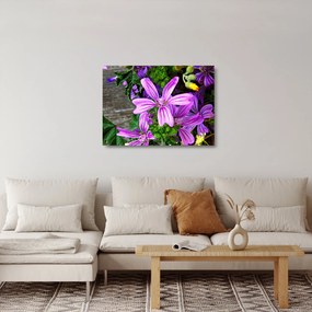 Sklenený obraz - lúčne kvety (70x50 cm)