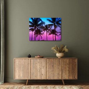 Obraz - Palmy v Miami (70x50 cm)