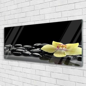 Obraz plexi Kvet kamene kuchyňa 125x50 cm