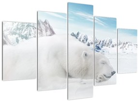 Obraz - Ľadový medveď (150x105 cm)