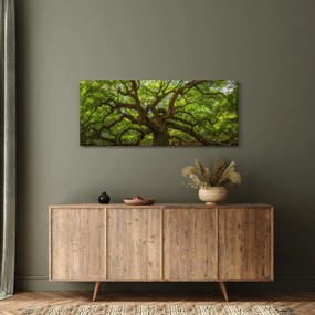 Obraz - Zelený strom (120x50 cm)