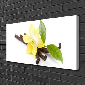 Obraz Canvas Vanilka listy rastlina 125x50 cm