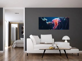 Obraz - Medúzka (120x50 cm)
