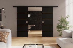 Posuvné dvere WERDI DUO PLUS | 192 cm Farba: Čierna