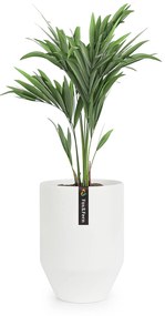 Fox & Fern Almere Kvetináč Polystone Ideálny pre rastliny, ručne vyrobený, okrúhly