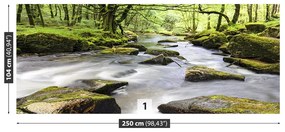 Fototapeta Vliesová Rieka fowey 152x104 cm