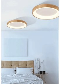 Azzardo AZ2698 - LED Stropné svietidlo SILVAM 1xLED/50W/230V