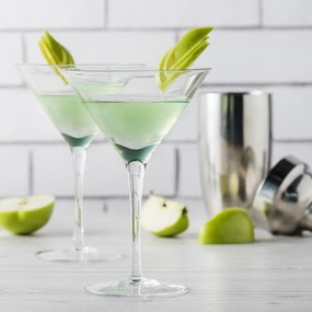 Poháre na koktaily v súprave 6 ks 210 ml Lara – Orion