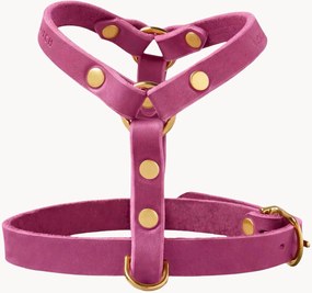 Kožený postroj pre psa Y-Harness, rôzne veľkosti