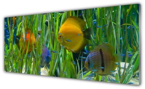 Obraz plexi Ryba riasy príroda 125x50 cm