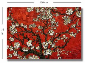 70100VANGOGH075