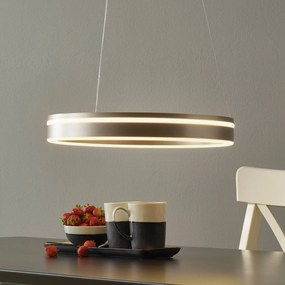 Paul Neuhaus Q-VITO závesné LED 40 cm oceľ