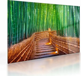 Sklenený obraz - Japonský bambusový les (70x50 cm)