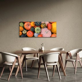 Obraz - Tekvica (120x50 cm)