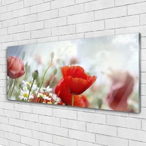 Obraz plexi Kvety plátky rastlina 125x50 cm