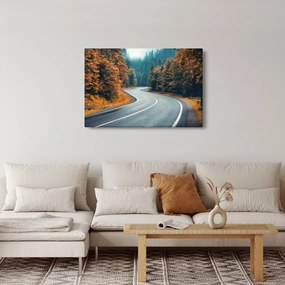 Obraz - Kľukatá cesta (90x60 cm)