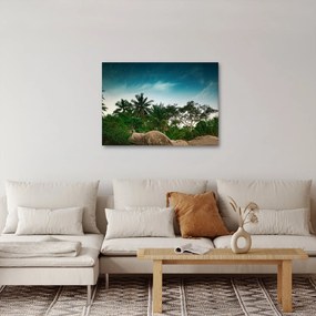 Obraz - palmy (70x50 cm)