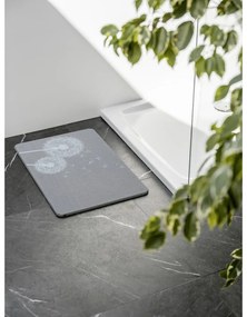 Sivá kúpeľňová predložka z kremeliny 39x60 cm Astera – Wenko