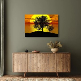 Obraz siluety stromu (90x60 cm)