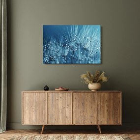 Obraz - Kvapky rosy (90x60 cm)