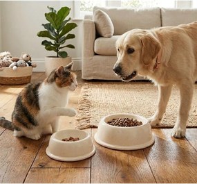 Kameninová miska pre domáceho miláčika ø 21 cm – Casafina