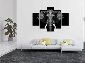Obraz - Slon na čiernom pozadí (150x105 cm)