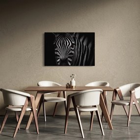 Obraz zebry (90x60 cm)