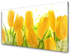 Obraz plexi Tulipány kvety rastlina 100x50 cm