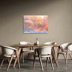 Sklenený obraz - Mrazivé svitanie (70x50 cm)