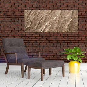 Obraz - Zlaté pole (120x50 cm)