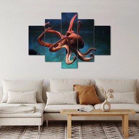 Obraz - Chobotnica (150x105 cm)
